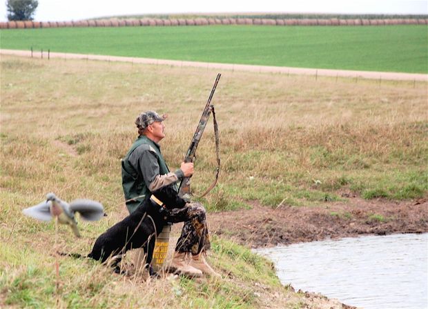 Pic-Dove Hunting