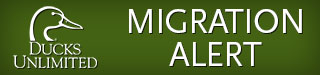 DU Migration Logo