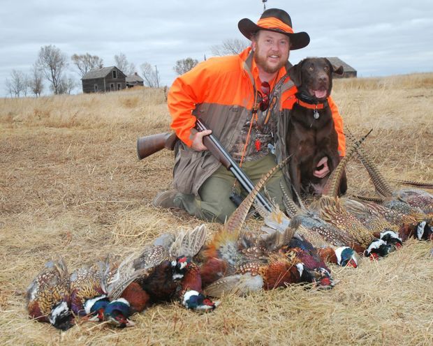 Pic-Pheasant huntier, Dog & Birds