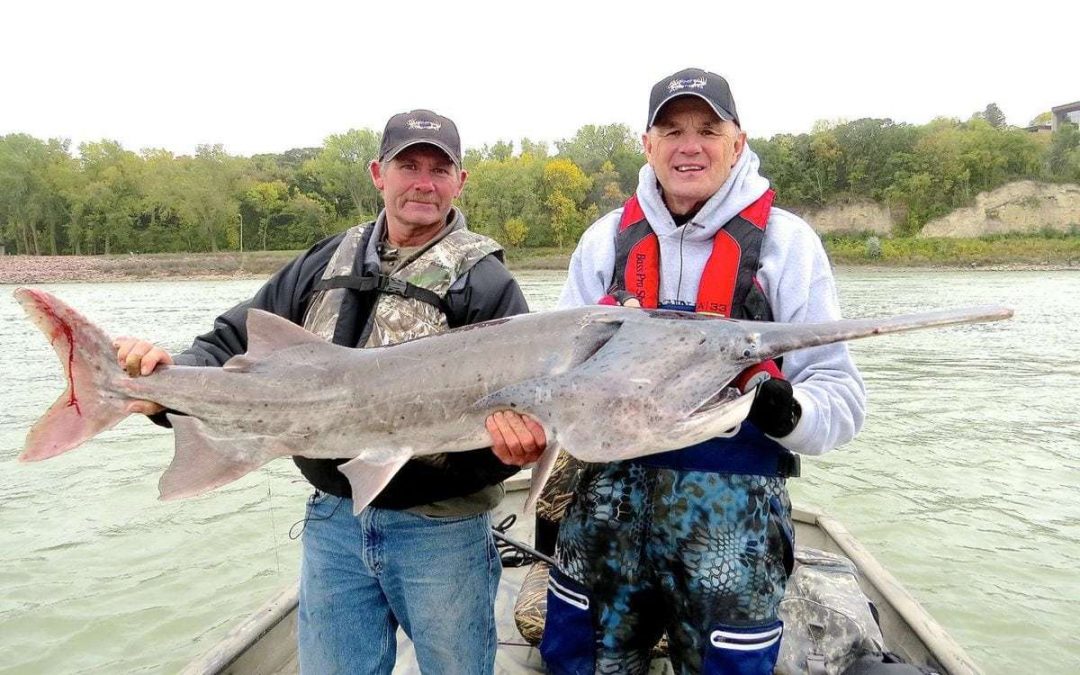 “Of the Outdoors” The Paddlefish