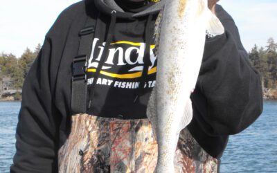 GARY HOWEY’S OUTDOORSMEN ADVENTURES TV SHOW BY CALVIN JAMES
