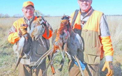 SOUTH DAKOTA PHEASANT OPENER BY gARY HOWEY