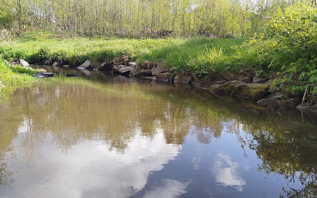 FISHING SMALL BODIES OR WATER   BY gARY HOWEY
