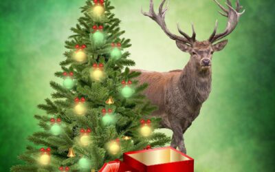 CHRISTMAS, THEN AND NOW