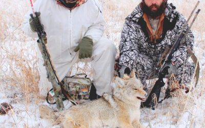 Getting up close and personal to PREDATORS By gary Howey