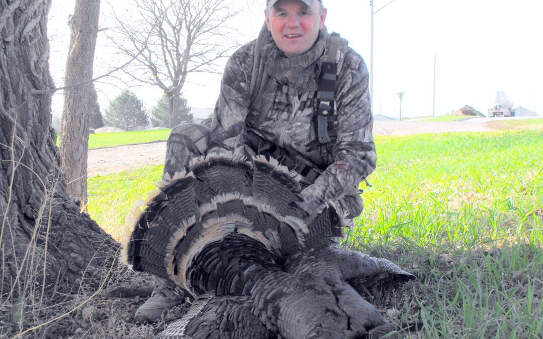TURKEY DECOYS BY gARY HOWEY