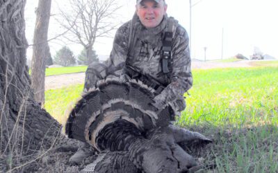 TURKEY DECOYS BY gARY HOWEY