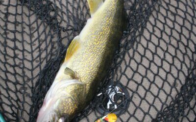 NETTING FISH MADE EASY BY gARY HOWEY