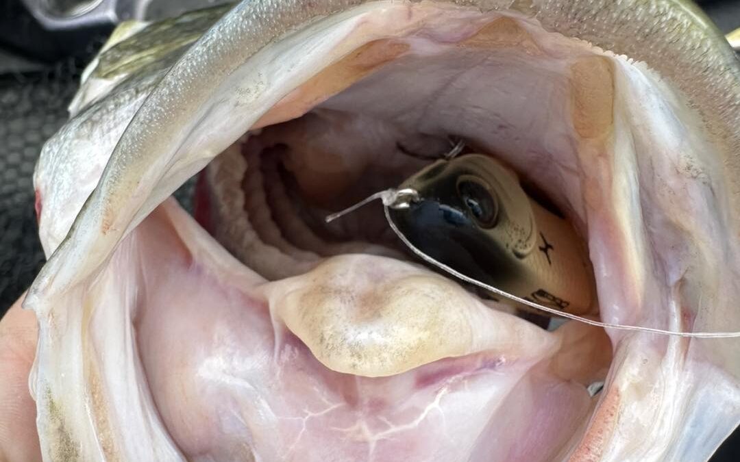 HOOKSETTING BY gARY HOWEY