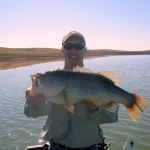 joel-lm-bass-pics