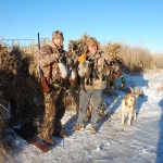 tom-codymallards